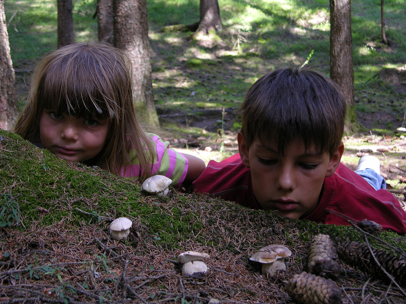 Ritrovamenti del 19 luglio.